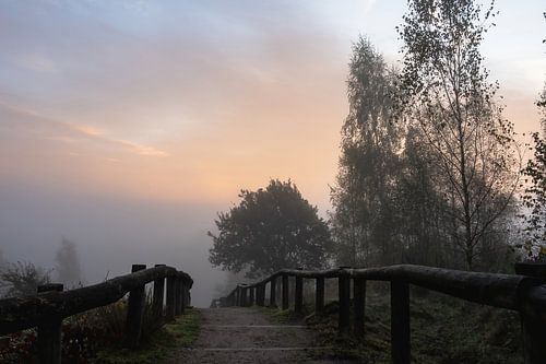 Kwintelooijen part 37