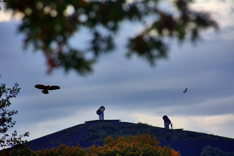 Topweergave van Edgar Schermaul