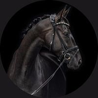 Beau cheval