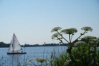 Paterswoldsemeer in de zon