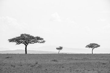 Serengeti Trees van Remo Wormmeester