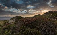 Ein schöner Sonnenuntergang an der schottischen Küste von Mart Houtman Miniaturansicht