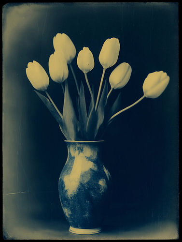 Tulipes dans un vase n° 10