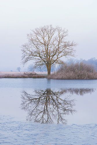 Natuurgebied Nationaal Park Dwingelderveld (Drenthe) - Nederland
