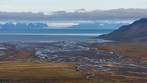 Vue sur un enchevêtrement de ruisseaux au Svalbard en direction de la mer