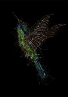 Scribble Art