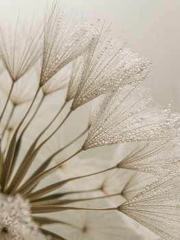 Landelijk: Een klein stukje natuur aan de muur