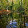 Weerspiegeling in de herfst van Barbara Brolsma