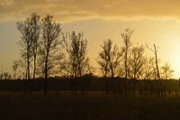 Sunset on Groote Peel