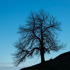 Stille im Spätherbst von Walter G. Allgöwer