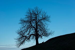 Stille im Spätherbst