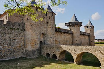 Toegangsbrug tot het kasteel van Carcassonne van Frank Photos