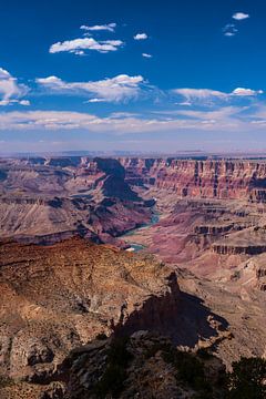 Vue du fleuve Colorado dans le Grand Canyon