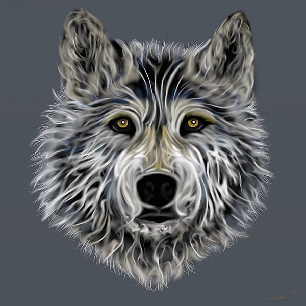 Wolf par Linda van Kleef