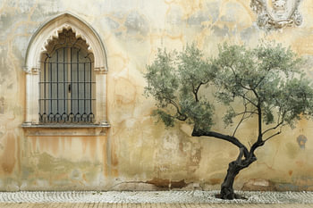 Olive tree in front of historic architecture
