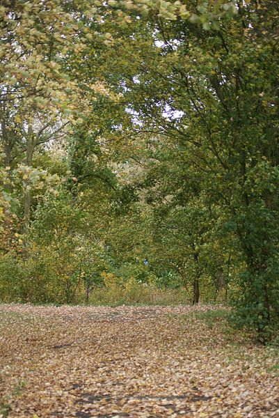 Een oneindige weg by Peter Hartman