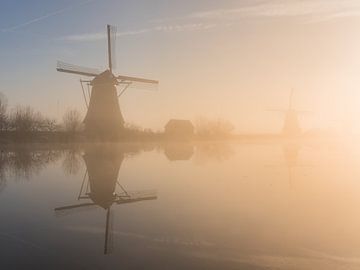 Heure dorée brumeuse aux moulins à vent de Kinderdijk