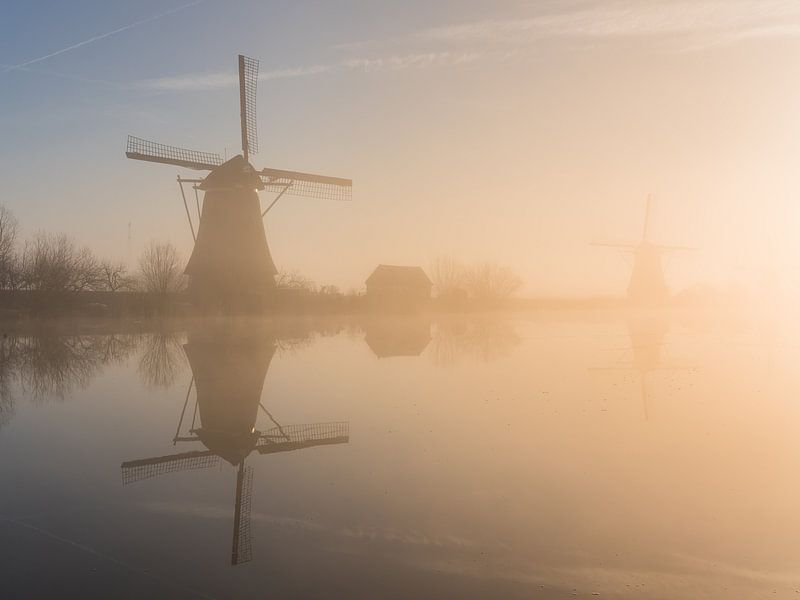 Neblige goldene Stunde bei den Windmühlen von Kinderdijk von Jeroen de Jongh