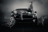 Race car with animals by artmaster thumbnail