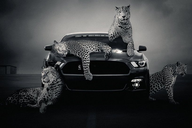 Race car with animals by artmaster