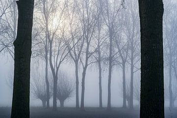 Nebel in der Polderlandschaft von Eugene Winthagen