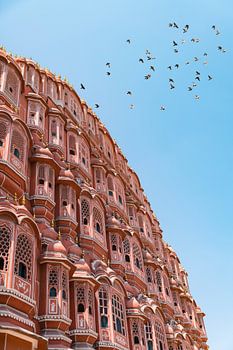 Pigeons en vol au Hawa Mahal à Jaipur en Inde.