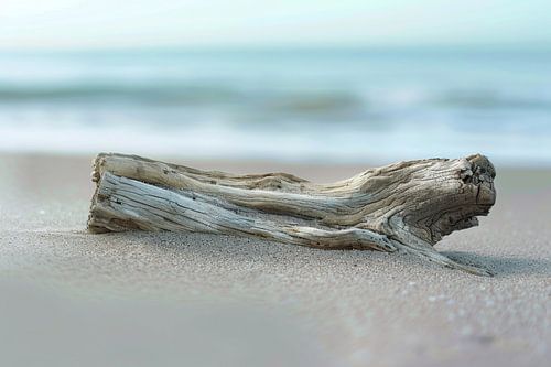 Minimalistische strandfotografie - rust aan zee met drijfhout