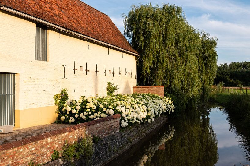 Watermill by Werner Lerooy