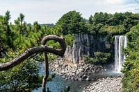 Wasserfall auf Jeju Südkorea