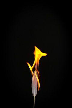 Vuur en vlammen #3 van pixxelmixx