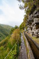 Richting de watervallen op Madeira