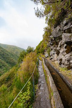 Richting de watervallen op Madeira van lars Bosch