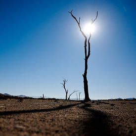 Sossusvlei, Namibie van Marco Verstraaten