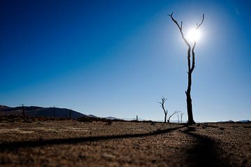 Sossusvlei, Namibie van Marco Verstraaten