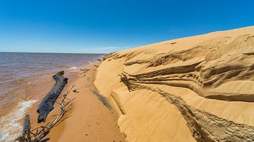 Île de dunes "Las Dunas de San Cosme y Damian" au milieu du Rio Parana près de la sur Jan Schneckenhaus