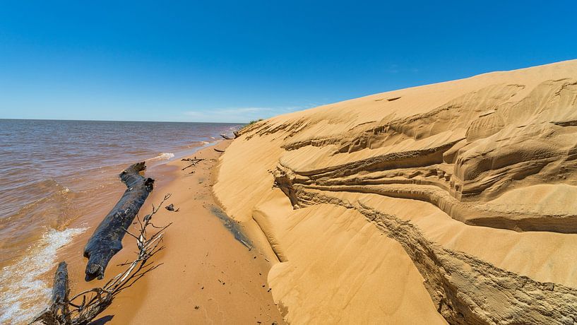 Dune island &quot;Las Dunas de San Cosme y Damian&quot; in the middle of the Rio Parana near by Jan Schneckenhaus