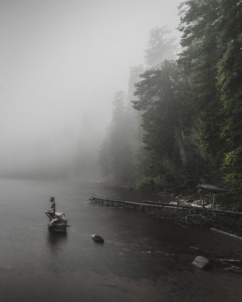 Landscape photo of a foggy misty lake with a statue of a mermaid by Jan Hermsen