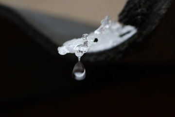 Waterdruppel van smeltend ijs van Rosalie Broerze
