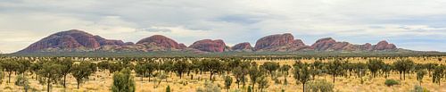 Panorama van Kata Tjuta, Olgas in Northern Territory Australië