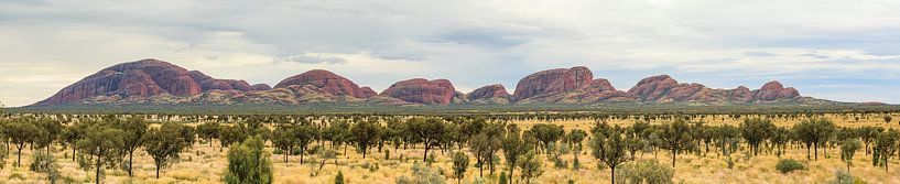 Panorama van Kata Tjuta, Olgas in Northern Territory Australië van Henk van den Brink