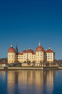 Moritzburg Castle by Heiko Kueverling