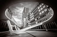 Fietshelling naar Parkbrug van Bruno Hermans thumbnail