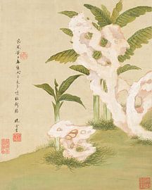 Liang Yuwei - Bloemen Pl.06