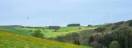 blühende Blumen, hügelige Felder und Windräder im deutschen Sauerland bei Winterberg.