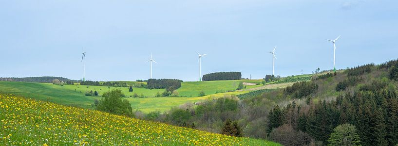 blooming flowers, in the hilly fields and wind turbines in Germany's Sauerland near Winterberg. by anton havelaar