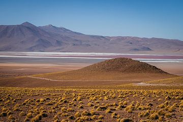 Hoogvlaktes van de Andes van Daniël Schonewille