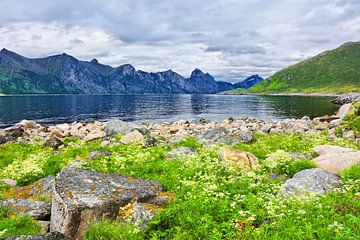 Mefjorden on the Island of Senja by Gisela Scheffbuch