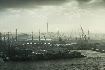 Zicht op Rotterdamse haven van Hans Hordijk