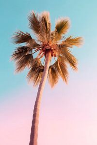 Palme Pastell