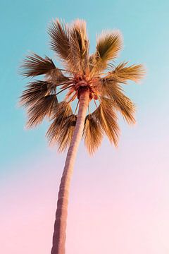 Pastel Palm van Philippe HUGONNARD